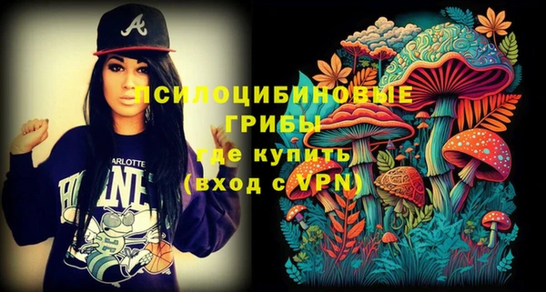 spice Киреевск